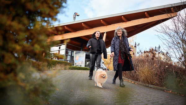 wandelen