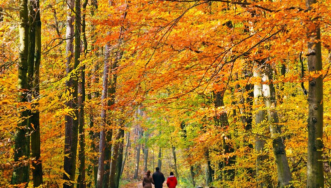 Seizoens Arrangement - Heerlijk Herfst