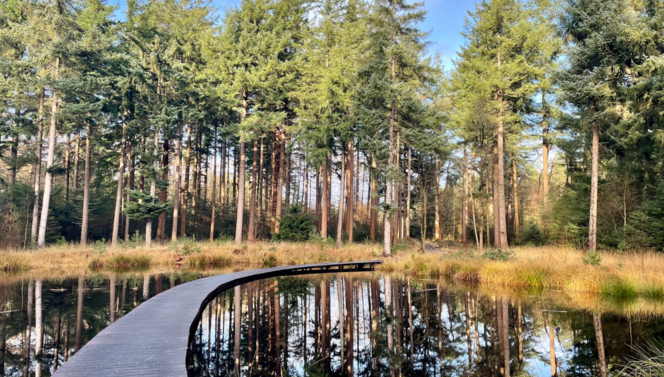Natur Hotel Drachten