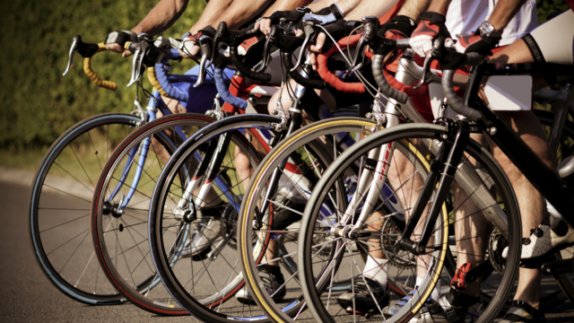 Fiets elfstedentocht