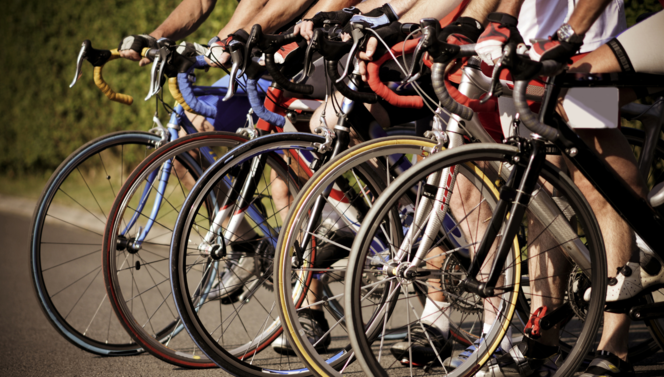 Fiets elfstedentocht