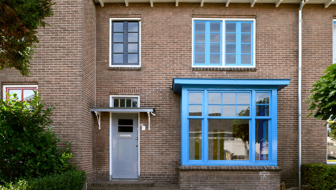 Papegaaien buurt