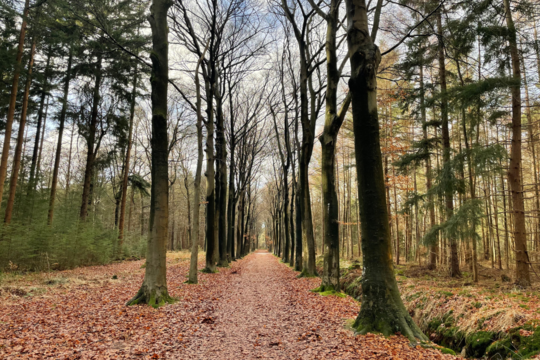 Heerlijk wandelen