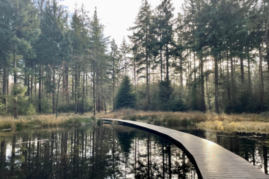 Het Wallebos