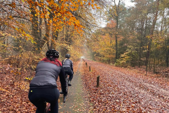 Mountainbikeroute Beetserzwaag